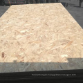 OSB Board of 1220x2440